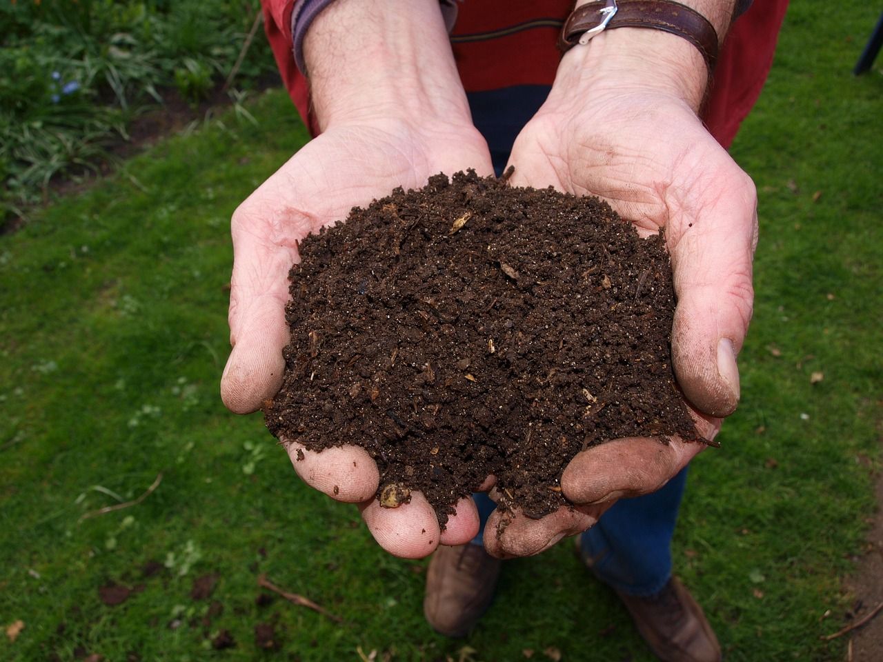 Composting: A Complete Beginner's Guide