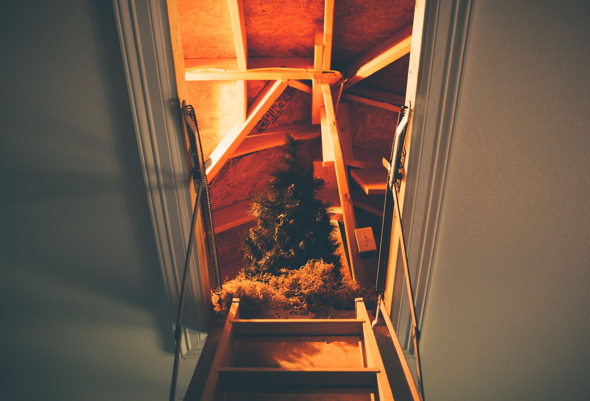 Maximize the Storage Space in Your Attic