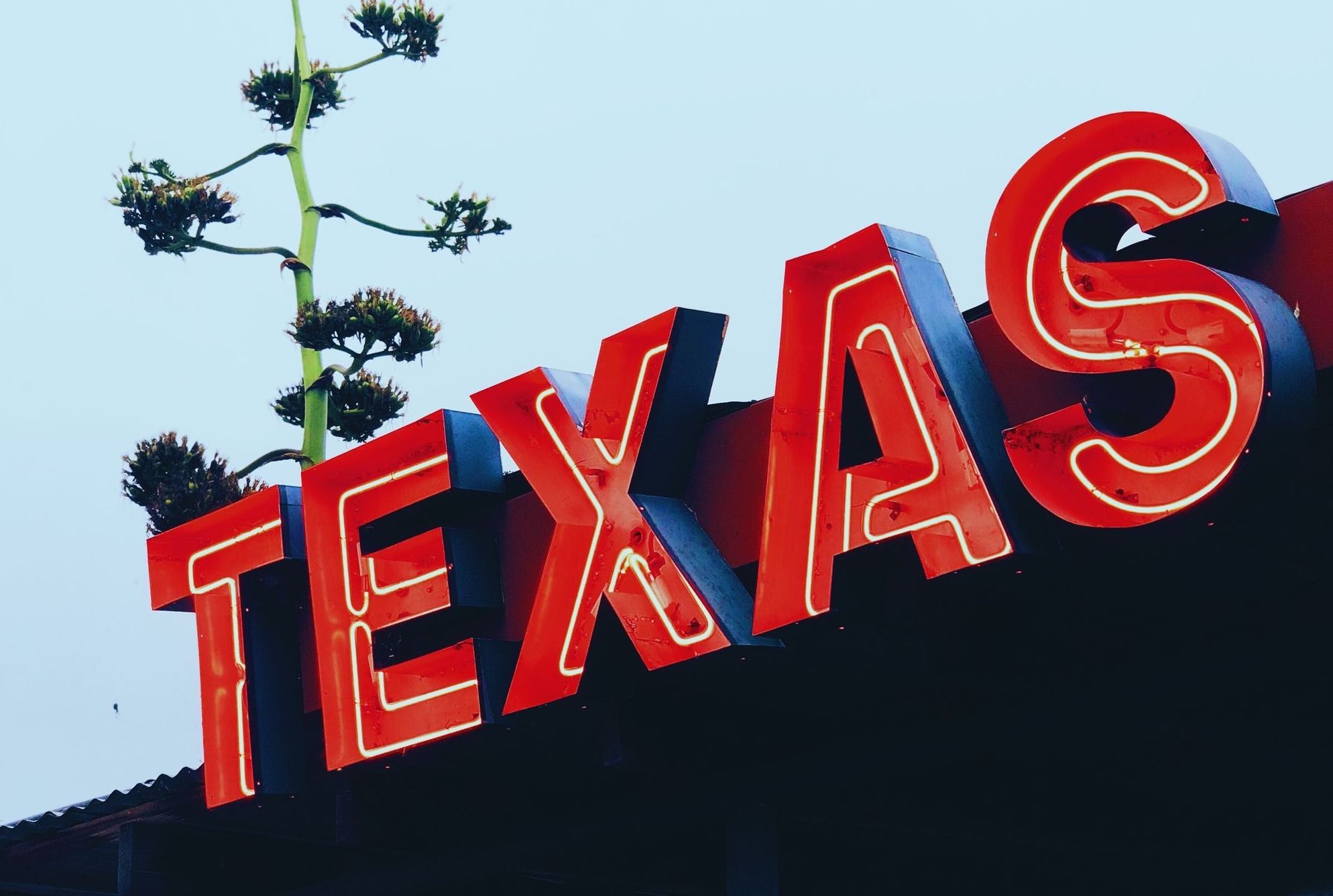 What Is The Real Estate Commission In Texas?