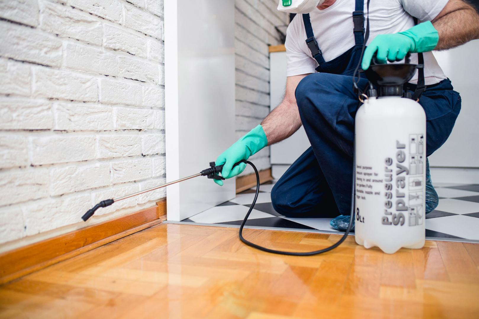 How to Clean Your Home After Pest Control Treatment