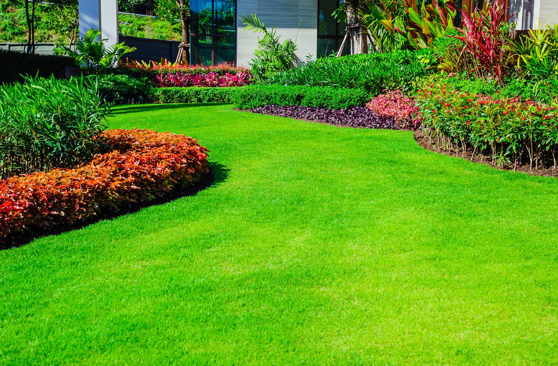 Which Zoysia Variety is Best for Southern Lawns?