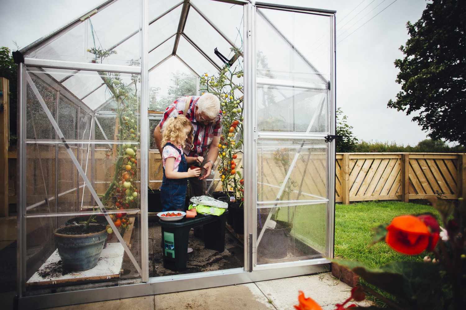 How to Build a Small Greenhouse
