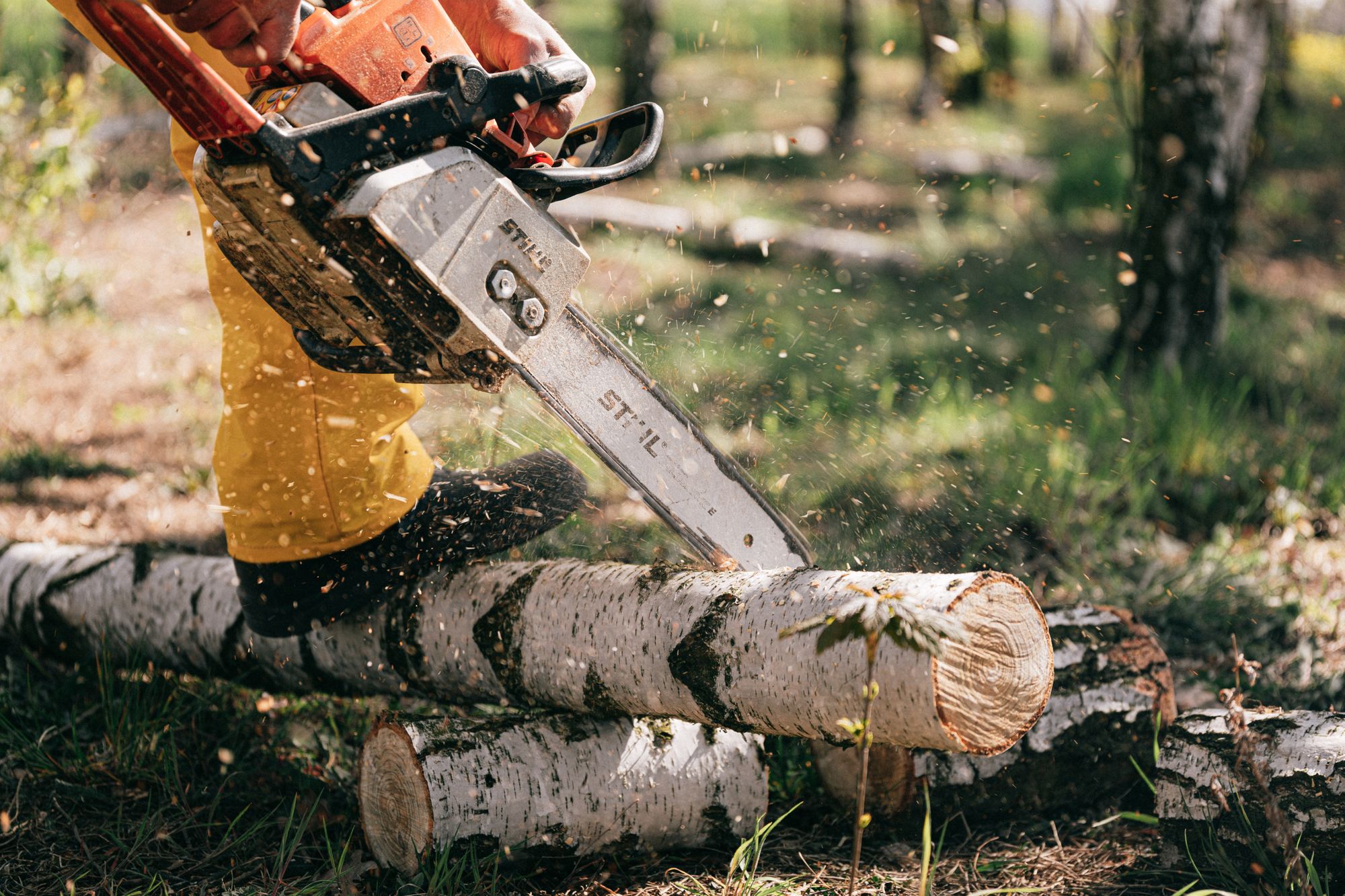 Chainsaw Bar Oil Substitute | SOLVED: What Can I Use?