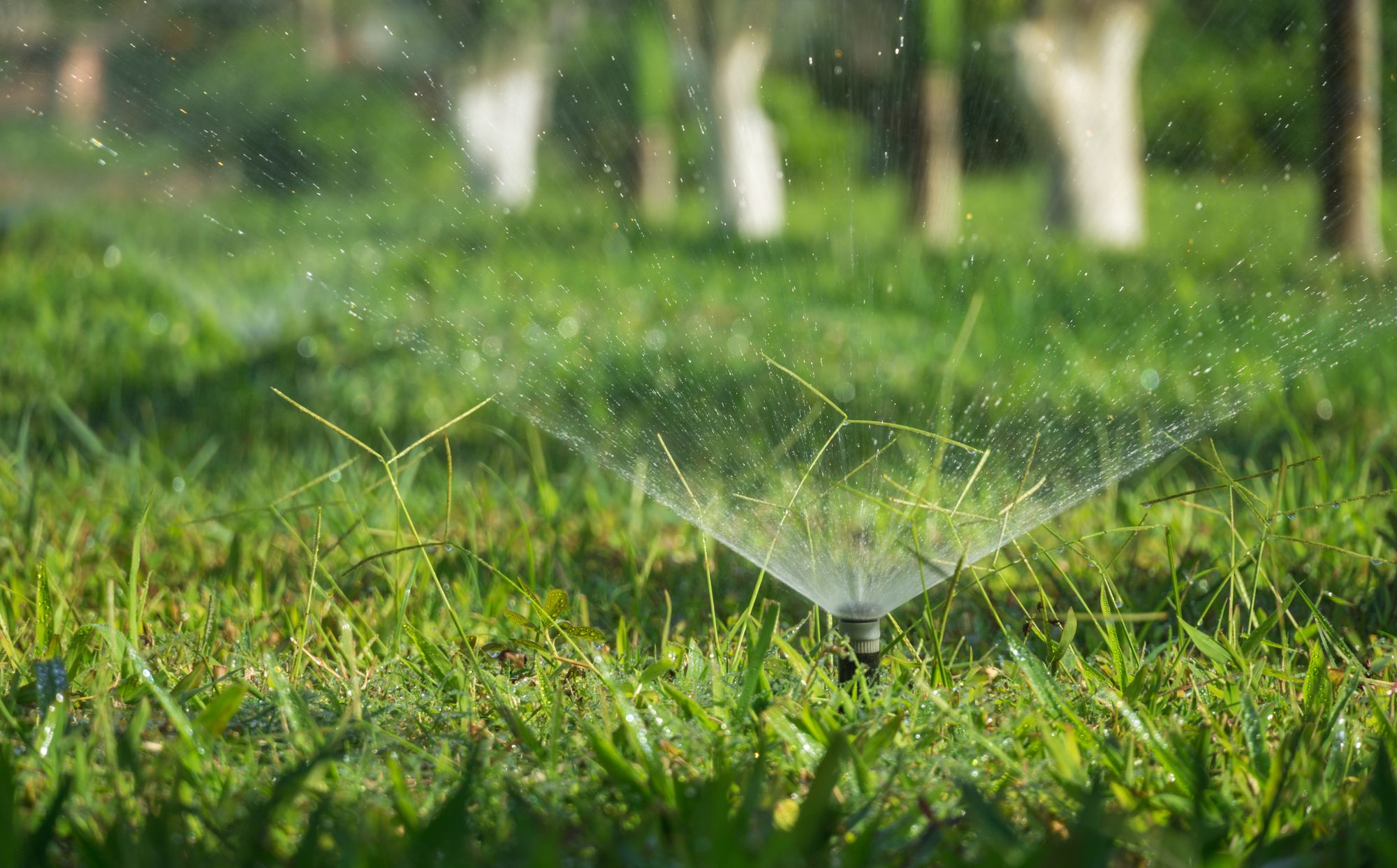 7 Best Sprinklers For Small Lawns And Gardens