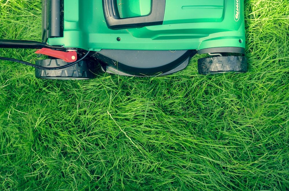 SAE 30 vs 5W-30: Which To Use In Your Lawn Mower