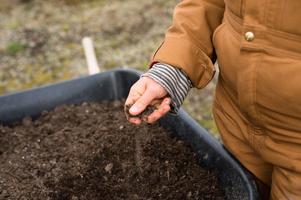 How To Sterilize Soil: 4 Easy Methods Anyone Can Try At Home