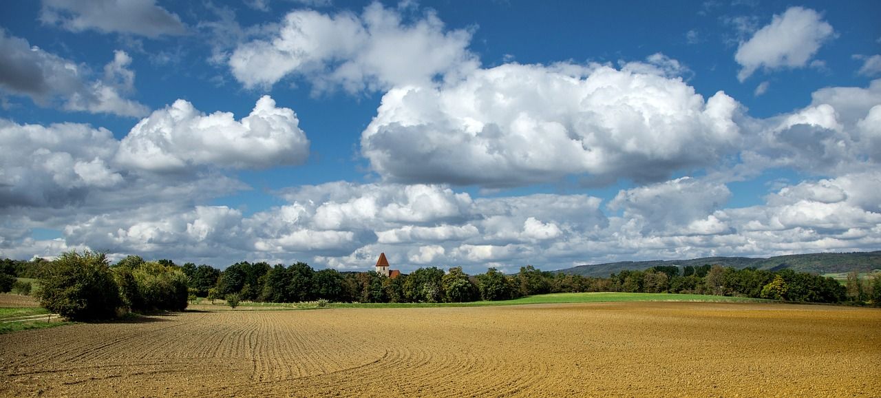 Factors to Consider When Evaluating Farmland Investments: Location, Soil Quality, and Crop Potential