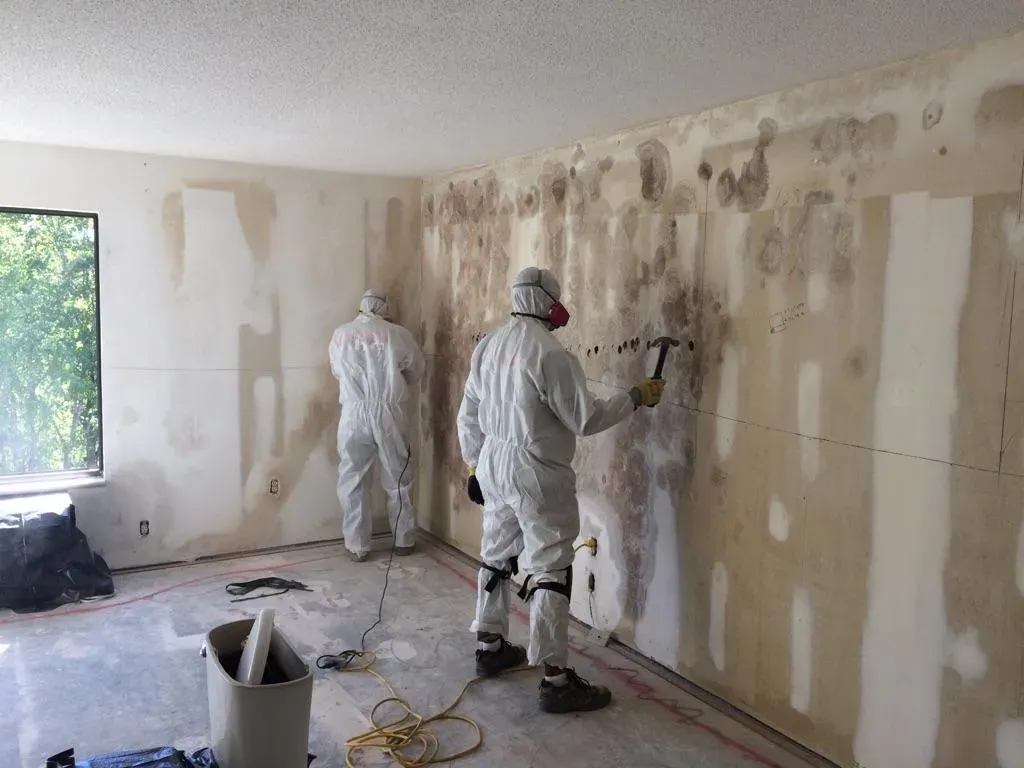 The Hidden Threat: Uncovering The Long-Term Effects Of Mold On Home Environments