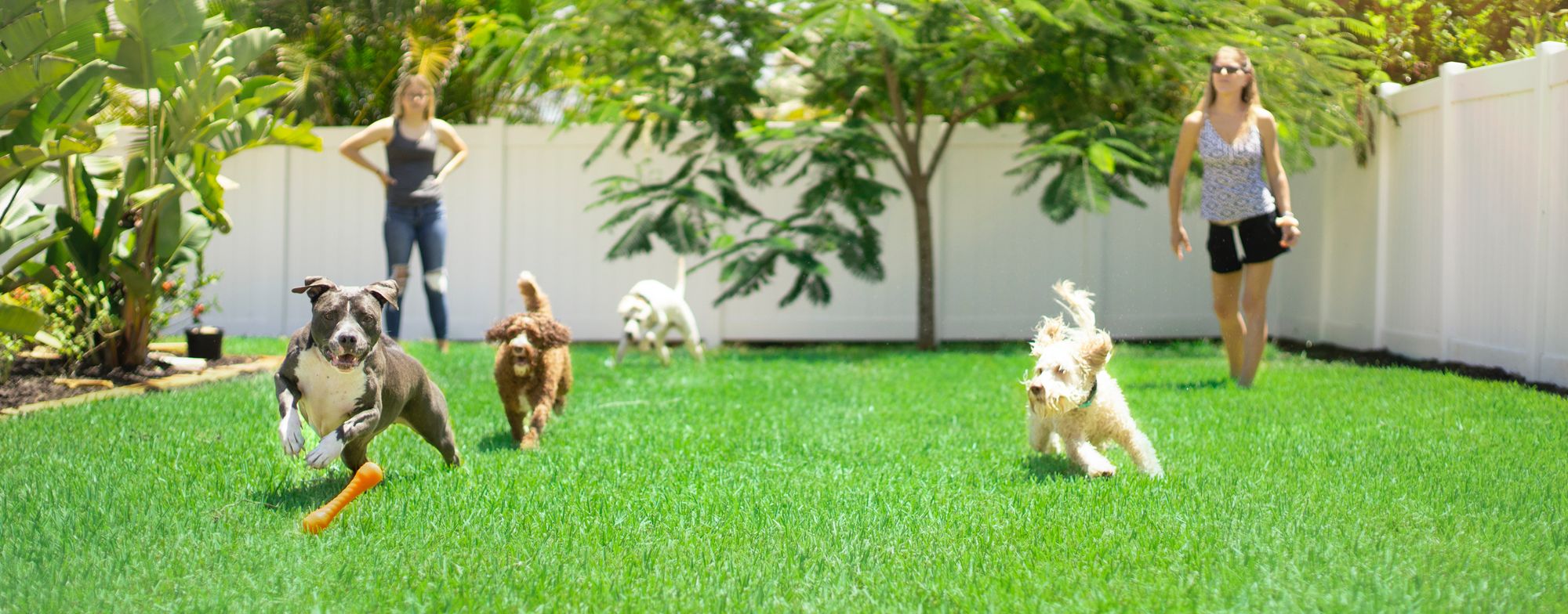 How to Create a Pet and Child-Friendly Yard