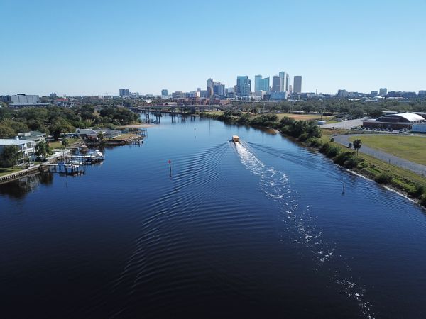 Here Are the 5 Best Areas To Live in Tampa